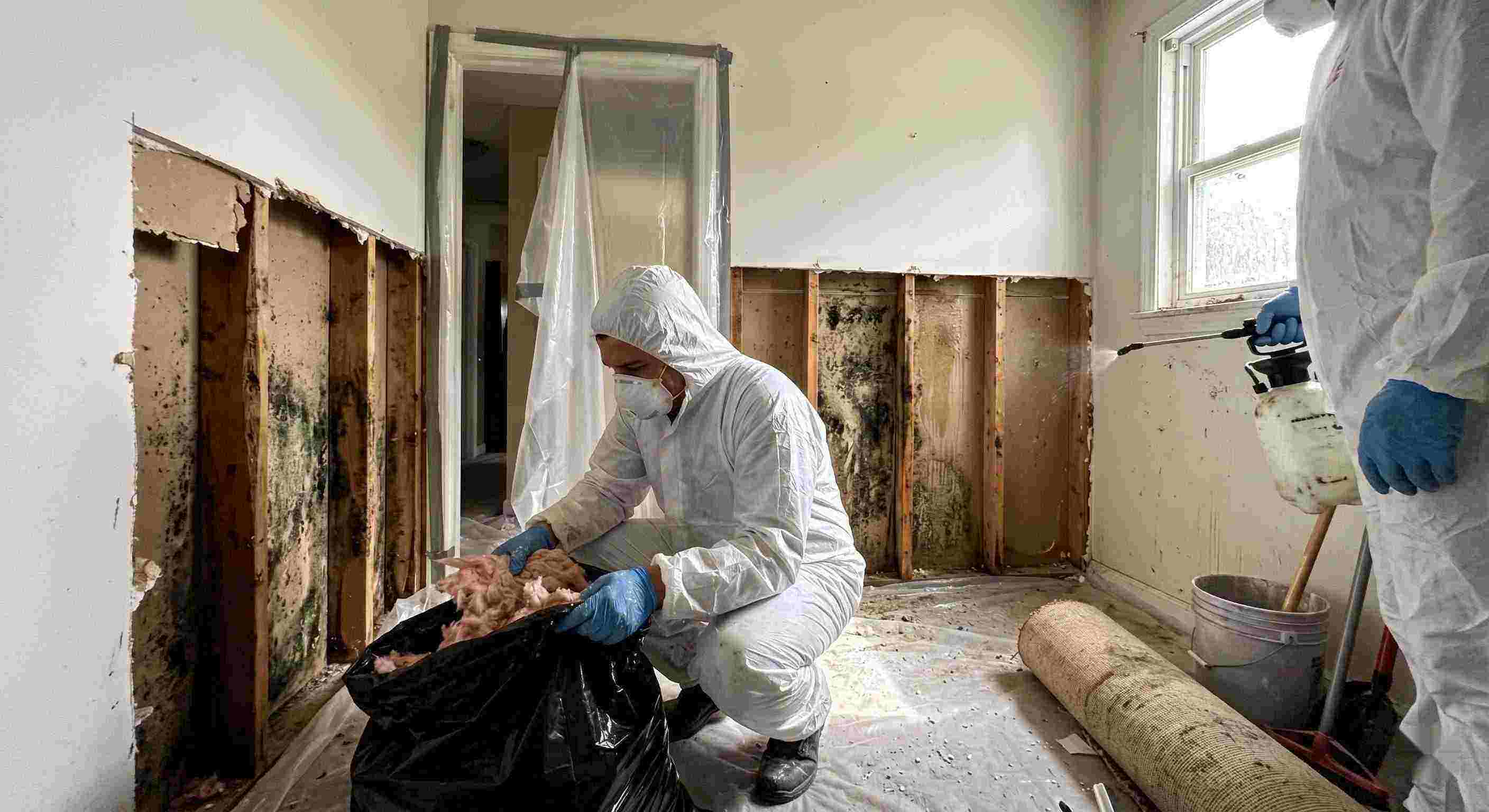 Local mold remediation services removing mold behind wall in home in Fairfield